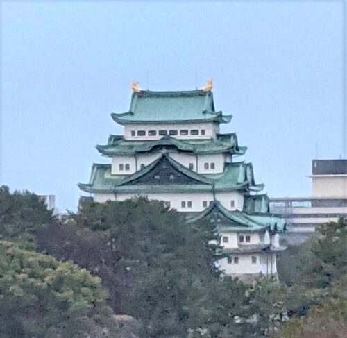 名古屋城の金鯱 特別展覧 まだ間に合う 地上に降臨16年ぶり 御利益あるかも