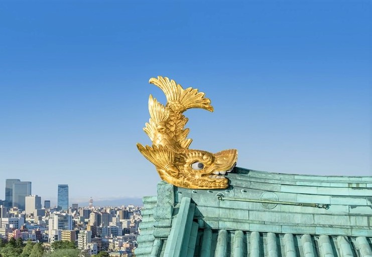 名古屋城の金鯱 特別展覧 まだ間に合う 地上に降臨16年ぶり 御利益あるかも
