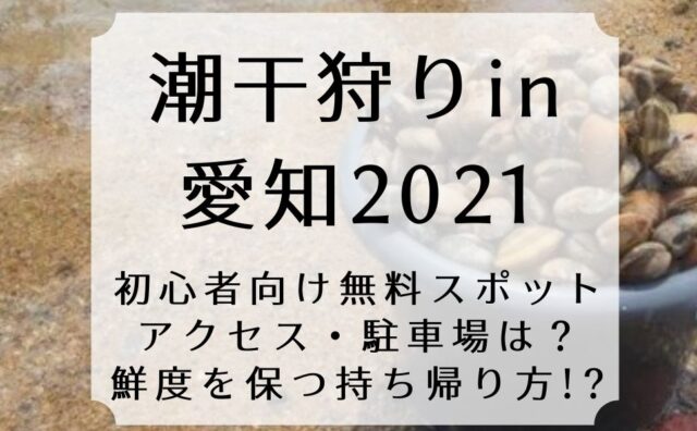 潮干狩りin愛知 初心者向け無料 アクセス 駐車場 持ち帰り方は Come On エイジング