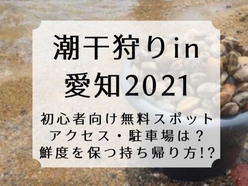 潮干狩り 砂抜きのコツは 簡単な塩水の作り方 下処理裏ワザ大公開 Come On エイジング