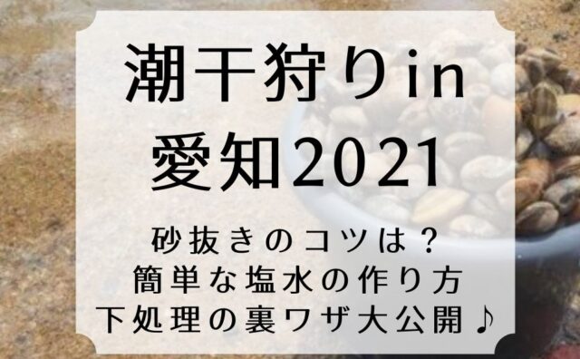 潮干狩り 砂抜きのコツは 簡単な塩水の作り方 下処理裏ワザ大公開 Come On エイジング